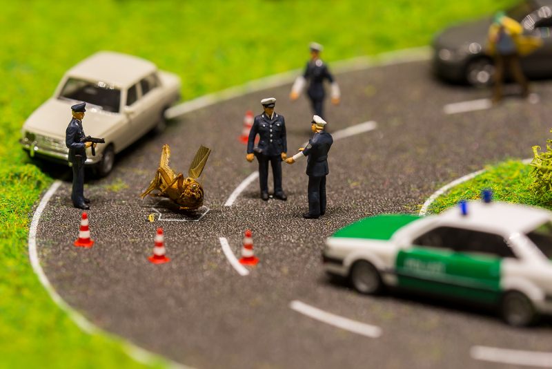 5. Platz Christoph Csokas